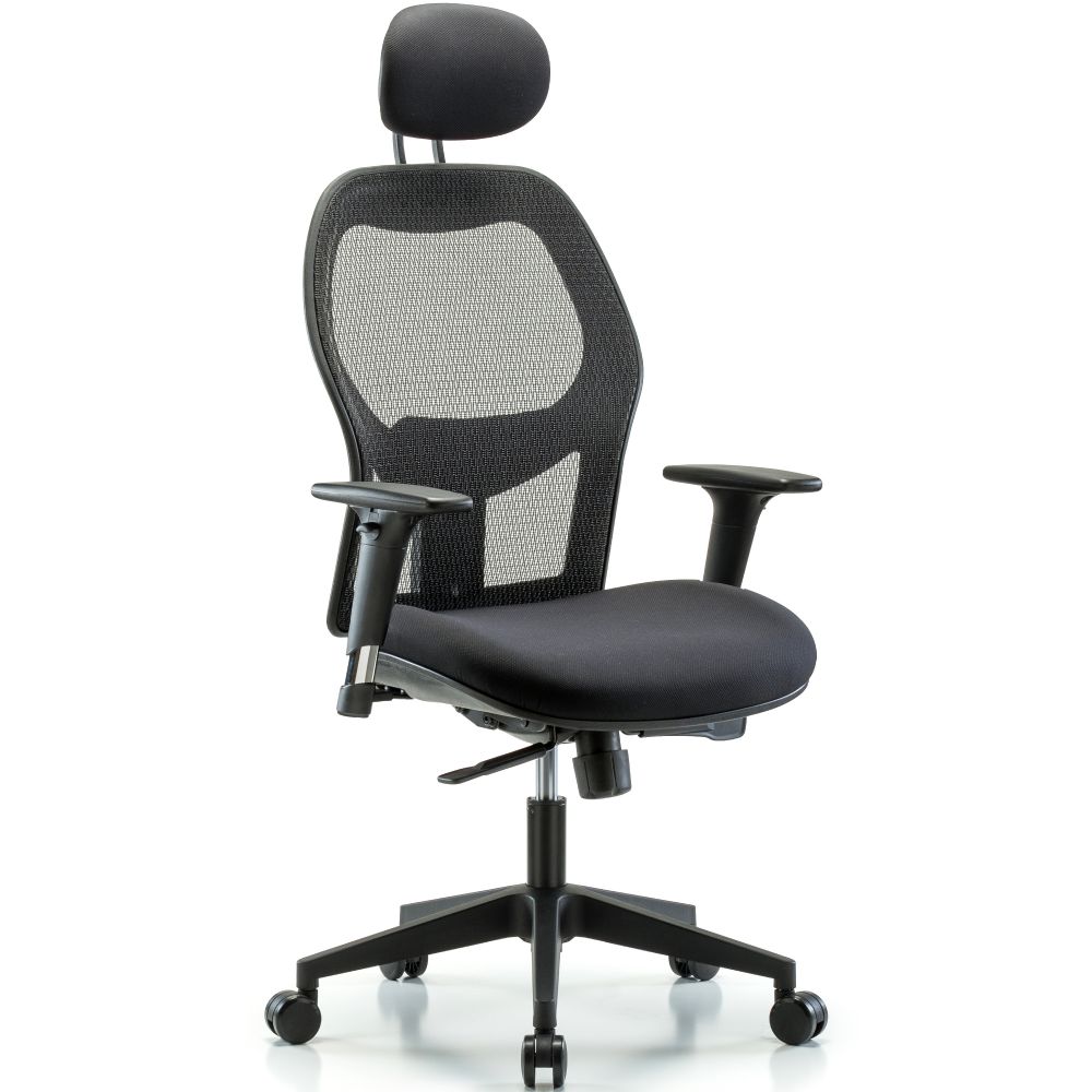 Executive Windrowe Mesh Back Chair with Head Rest, Standard Adjustable Arms, & Casters