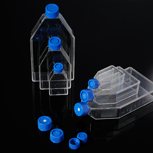 Cell Culture Flasks