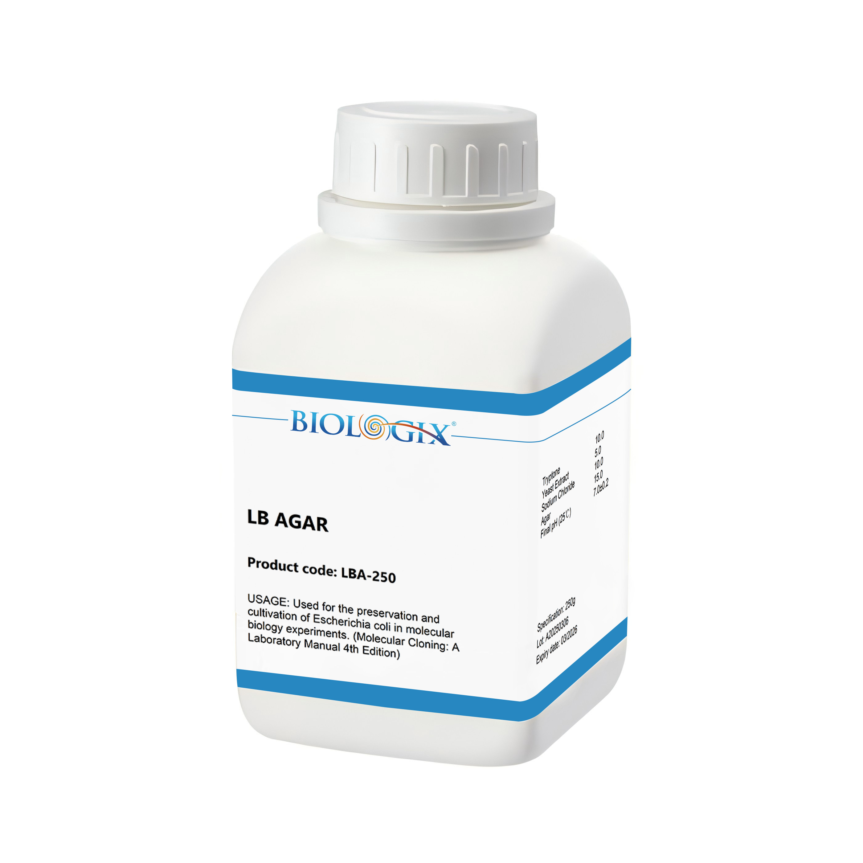LB Agar