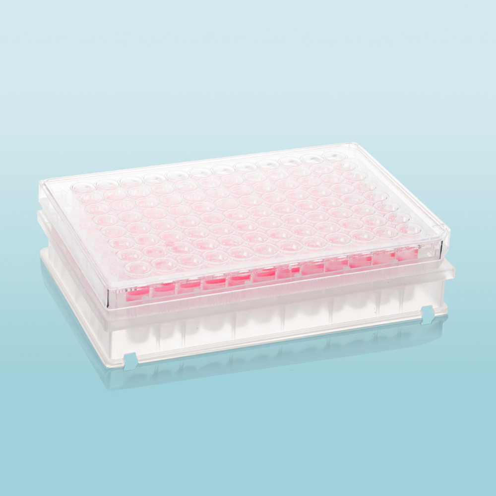Microporous Filter  Plate