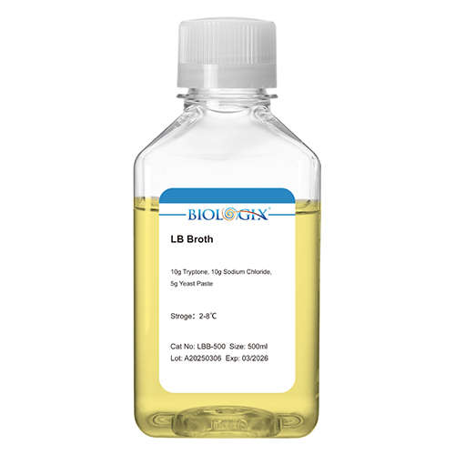 LB Broth Medium