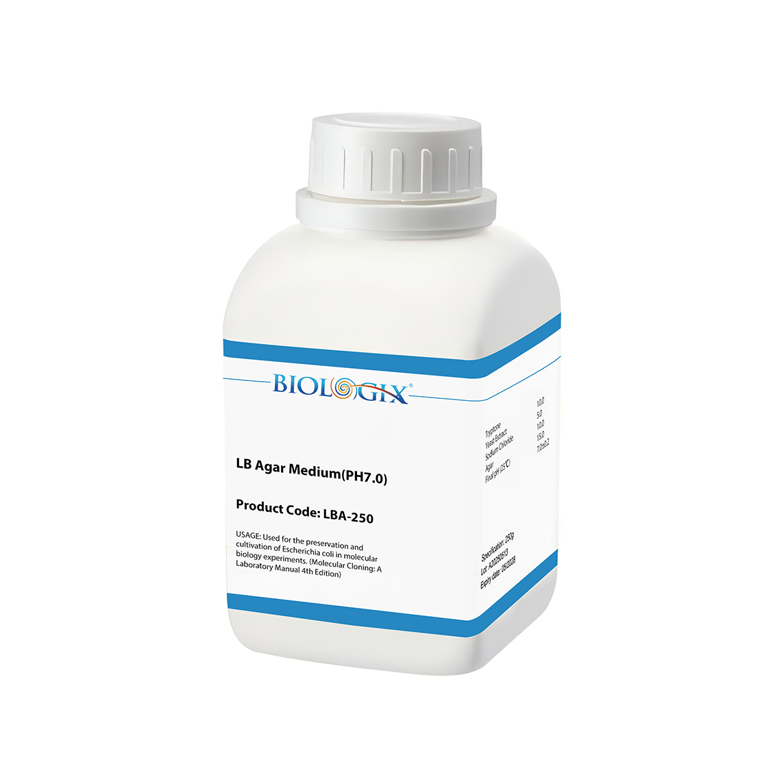 LB Agar
