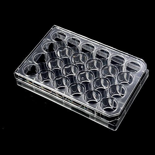 Cell Culture Plates